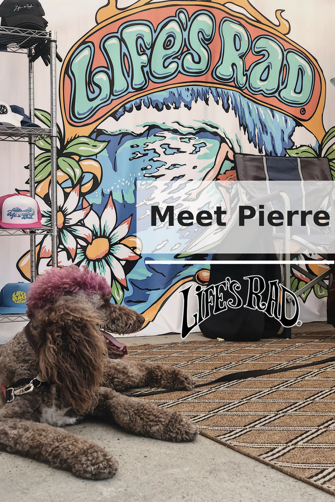 Meet Our Life's Rad Pup: Pierre